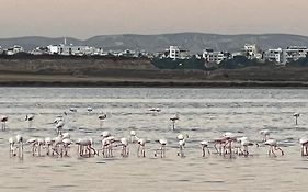 Salt Lake