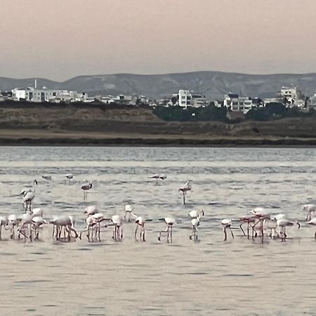 Salt Lake Larnaca Exteriör bild